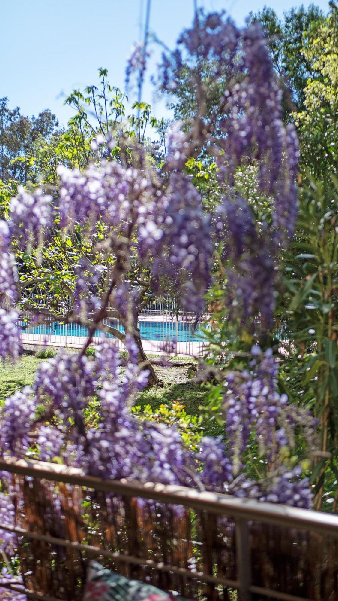 Apartamento Casa Laura -Parking - Pool Saint-Tropez Exterior foto